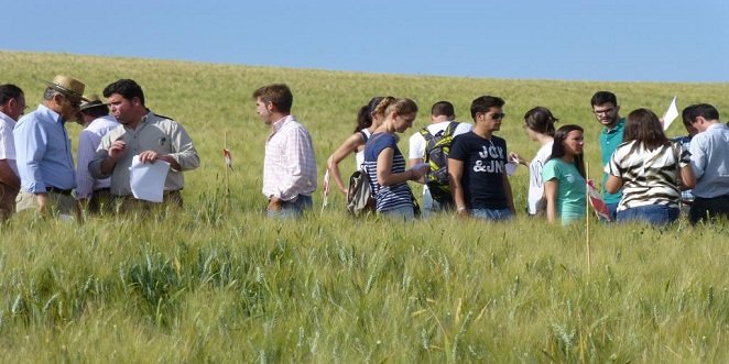 Asaja aplaude la rapidez de la Junta de Andalucía en el primer abono de ayudas a jóvenes agricultores