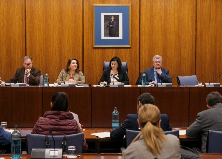 Crespo lamenta que las medidas del Real Decreto Ley “son insuficientes y llegan tarde”