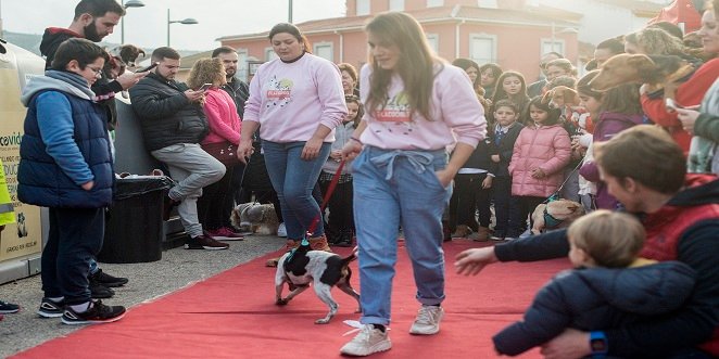 El barrio de San Antón celebra la tradicional bendición de mascotas en honor a su patrón