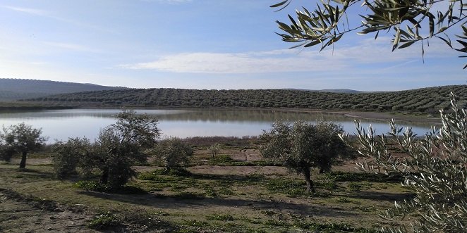Ecologistas denuncia el “deterioro” de las lagunas de Baena con motivo del día de los humedales