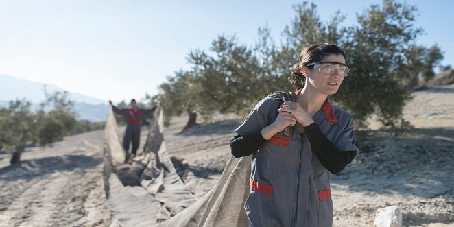 La Junta salda una deuda con los jóvenes agricultores de casi 33 millones, heredada de las convocatorias de 2015 y 2016