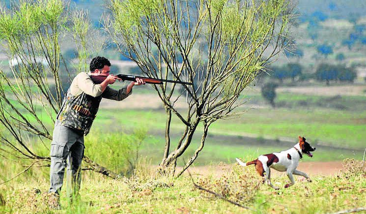 La Junta publica los periodos hábiles de caza para la temporada 2020/2021