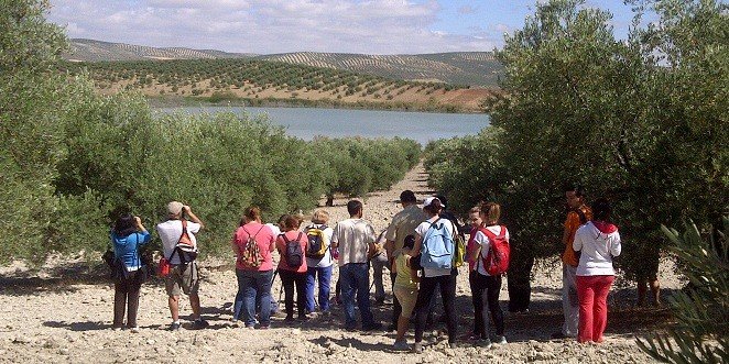 GRODEN-Ecologistas en Acción pide recuperar el Consejo Local de Medio Ambiente