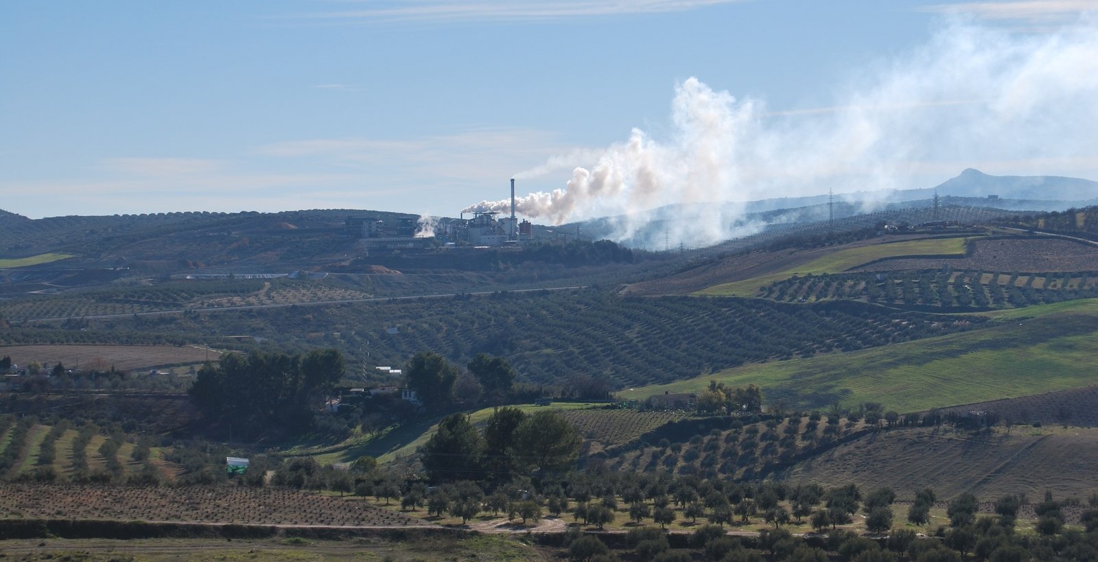 Oleícola El Tejar pondrá en marcha medidas para mejorar la calidad del aire
