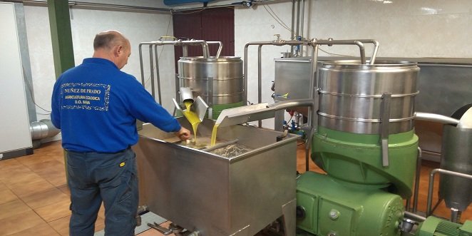 Baena lidera la producción de aceite de oliva cordobés en la última campaña