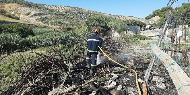 El Gobierno aprueba un nuevo Real Decreto para reforzar la coordinación en la lucha contra incendios forestales