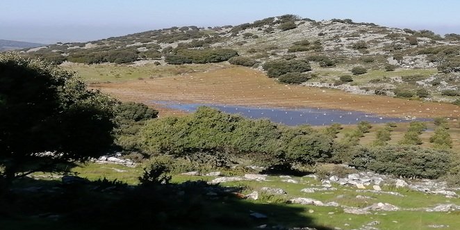 Ecologistas en Acción denuncia “un cambio ilegal de cultivo” en el Parque Natural de las Sierras Subbéticas