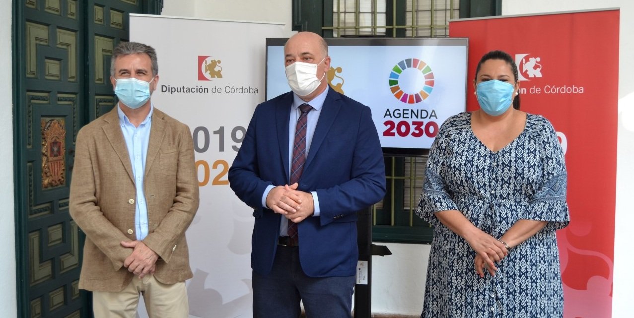 La Diputación creará el Consejo del Olivar de Córdoba para buscar respuestas a la “especial realidad” que vive el sector