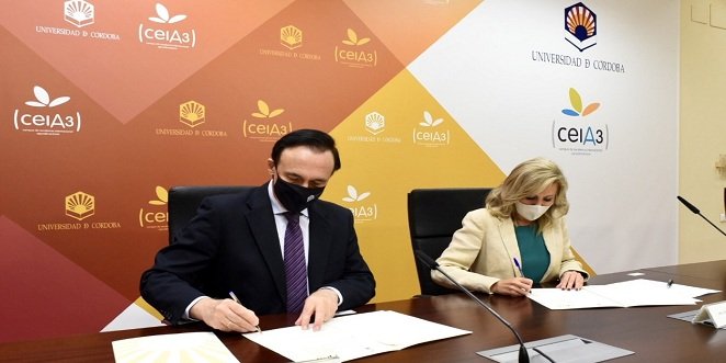 La Universidad de Córdoba y la Asociación Española de Municipios del Olivo potenciarán la formación del sector oleícola