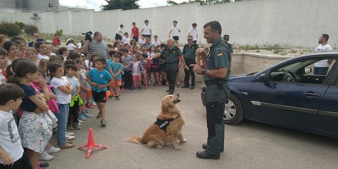 Abierto el plazo de solicitud del Plan Director para la Convivencia y Seguridad Escolar en los centros educativos
