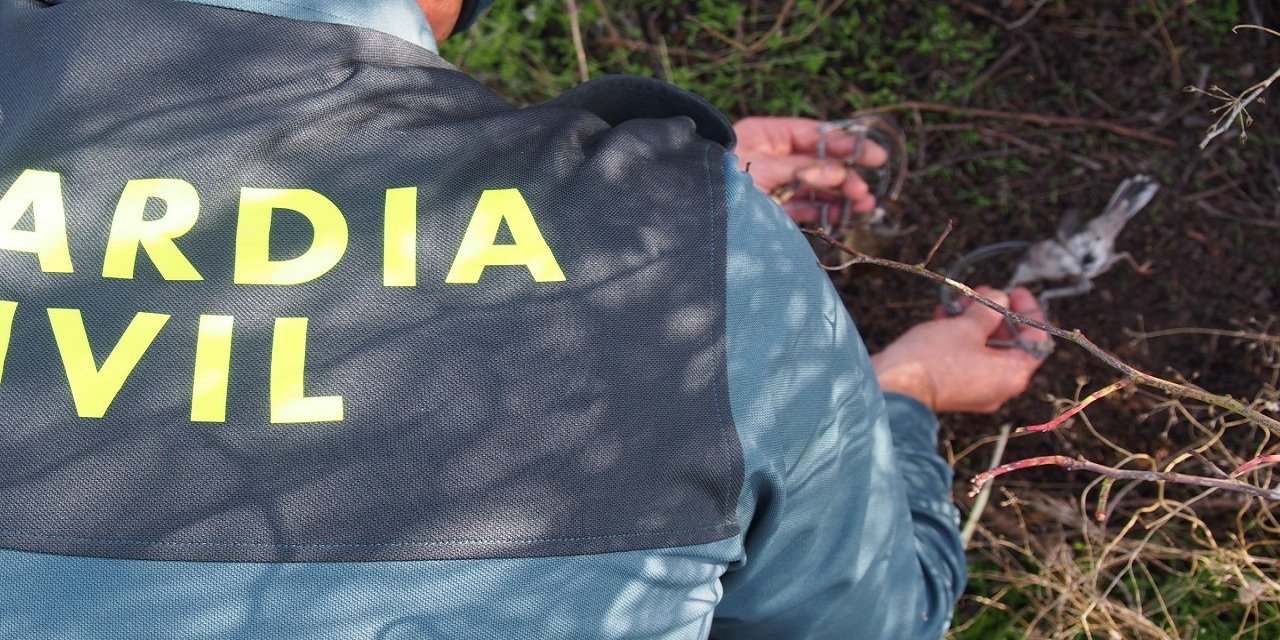 El SEPRONA de Baena investiga a dos personas por capturar aves insectívoras con artes ilegales no selectivas