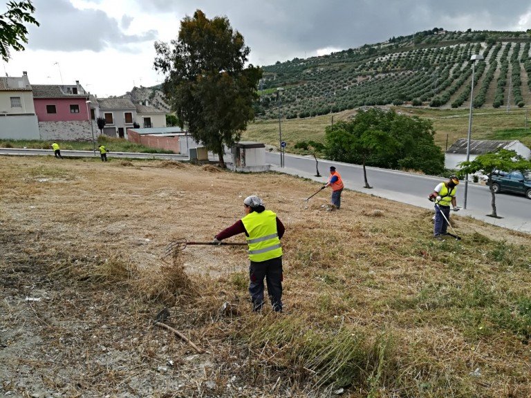 El Ayuntamiento publica los expedientes baremados del Plan de Solidaridad para enero en Baena y Albendín