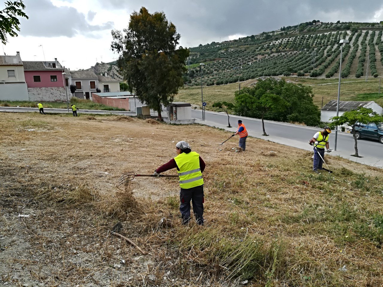 El Ayuntamiento publica los expedientes baremados del Plan de Solidaridad para enero en Baena y Albendín