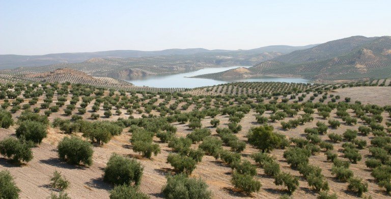 El GDR del Guadajoz moviliza 46 iniciativas que suponen inversiones de 3,4 millones de euros en plena pandemia