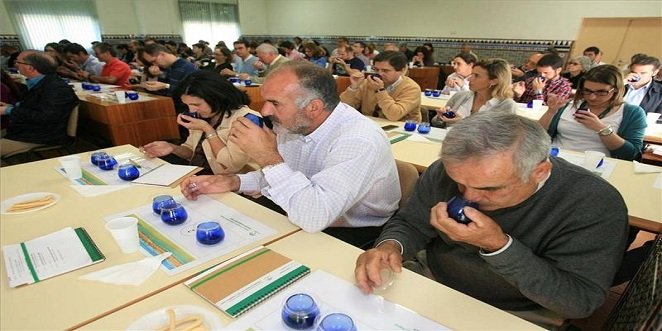 El Gobierno aprueba dos Reales Decretos para regular los paneles de catadores y el mercado del aceite de oliva