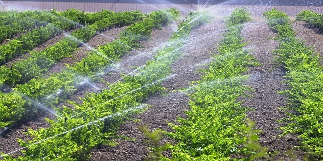 Fenacore valora la prórroga del Gobierno hasta final de año para que los regantes contraten dos potencias eléctricas