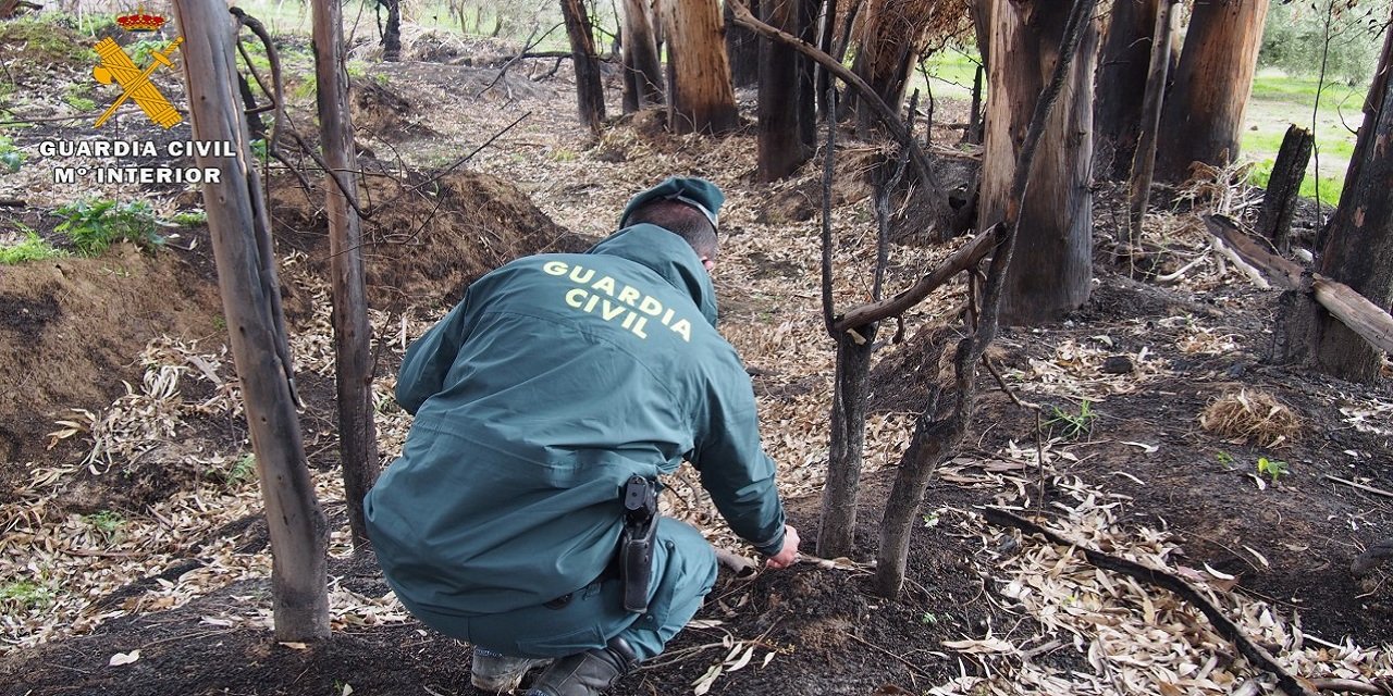 El SEPRONA investiga al supuesto autor de un delito de incendio forestal en el paraje del puente de ‘la Maturra’