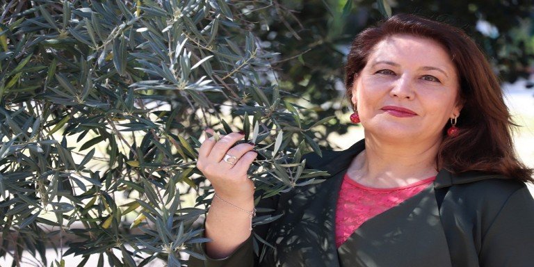 La Junta aplaude la suspensión temporal de los aranceles de Estados Unidos