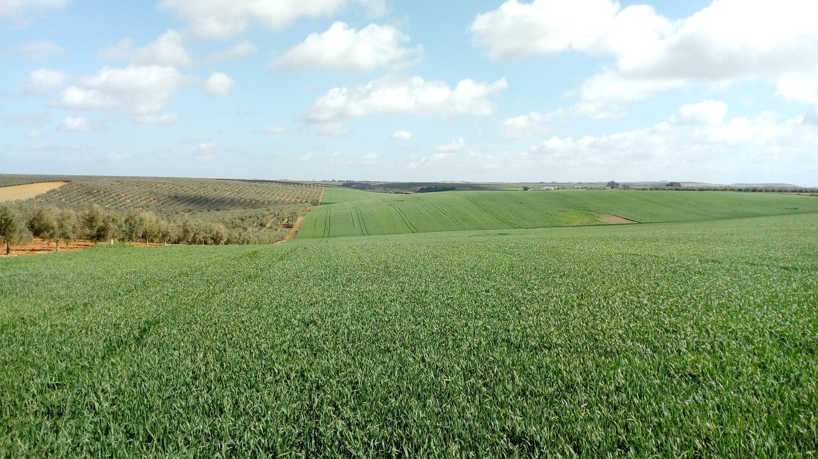 Carmen Crespo anuncia un paquete de ayudas de 36,1 millones de euros en septiembre para el sector agrario