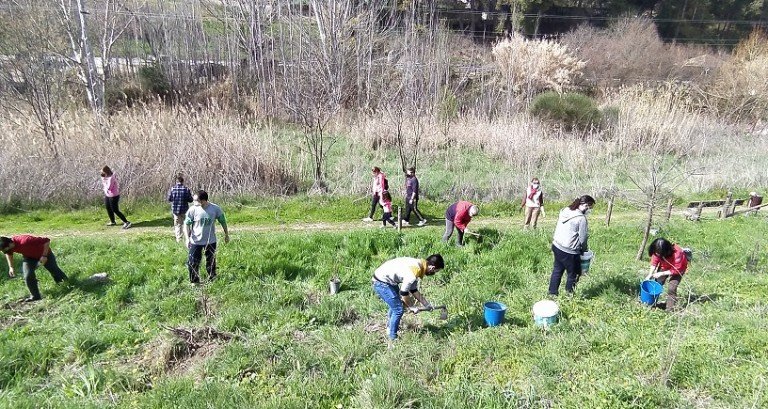 Groden-Ecologistas en Acción lleva a cabo una nueva plantación de árboles en el Cerro del Minguillar