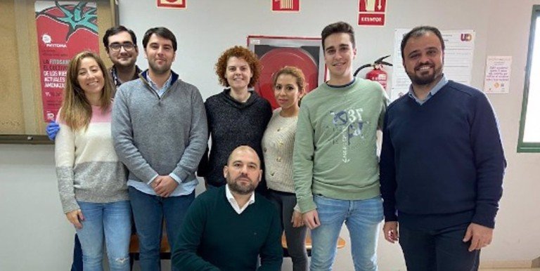 La Universidad de Córdoba perfecciona una trampa automática para luchar contra la mosca del olivo