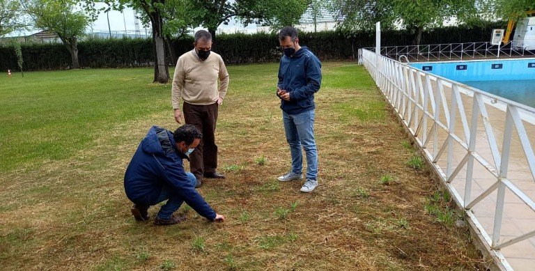 Albendín inicia un plan de mejora de la vegetación en jardines, piscina y parque municipal