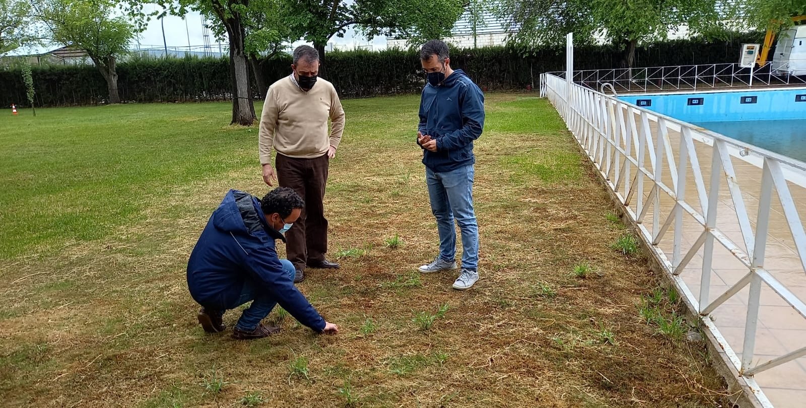 Albendín inicia un plan de mejora de la vegetación en jardines, piscina y parque municipal