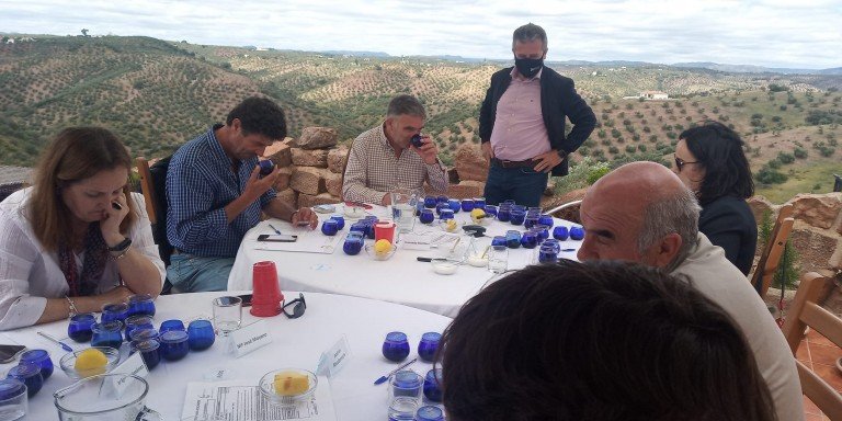 ‘Ecotrama’ celebra su XX edición con la participación de 93 aceites elaborados por 72 almazaras