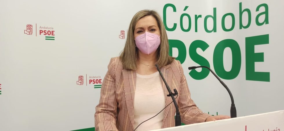 El PSOE de Córdoba afirma que el Gobierno de Pedro Sánchez ha impulsado el proyecto de conversión en autovía de la N-432