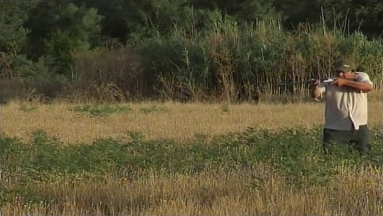 La temporada de caza comienza en Baena con el conejo y aguardos nocturnos de jabalí pero sin tórtolas