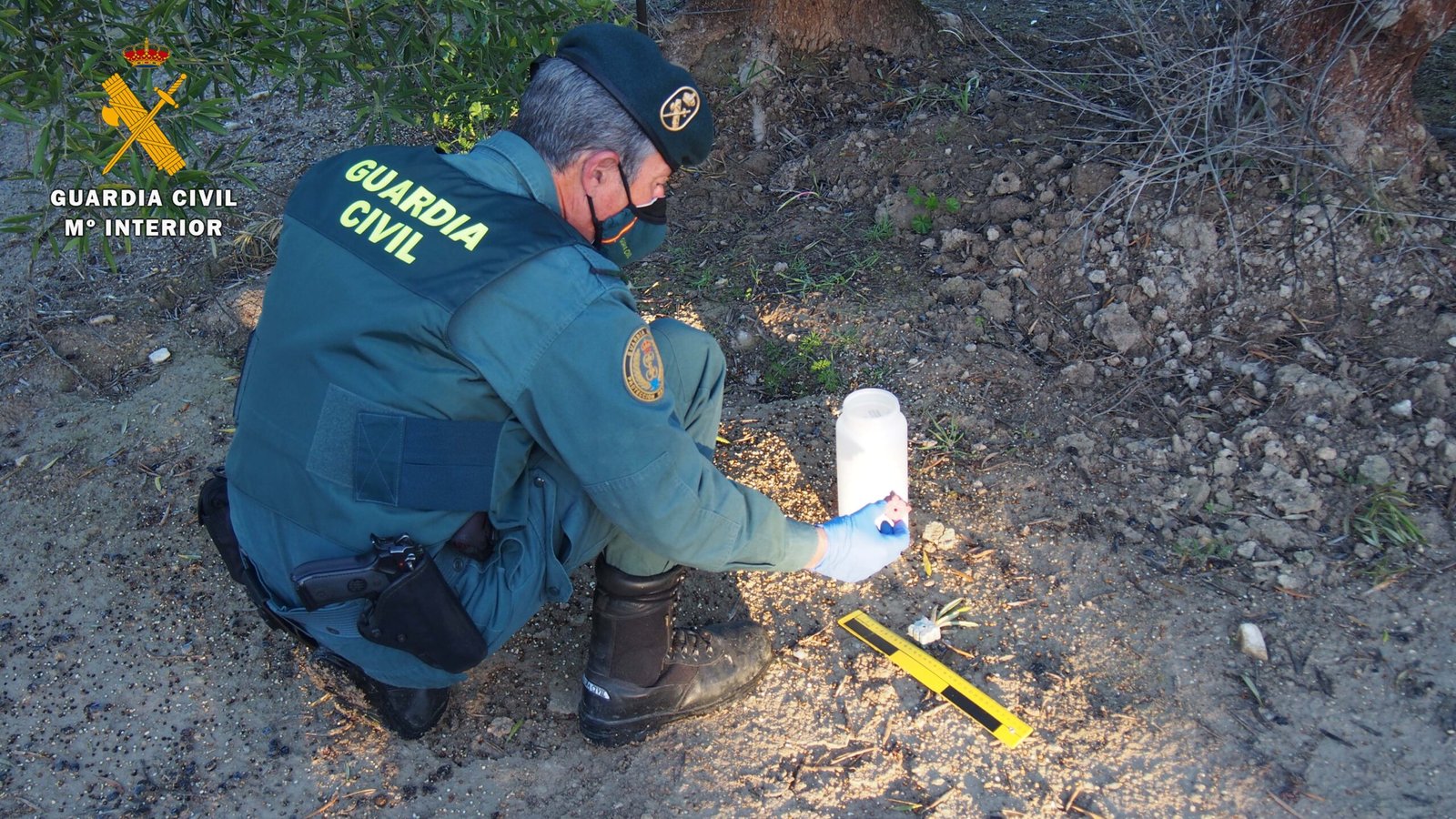El SEPRONA investiga en Baena a una persona por la colocación de cebos envenenados