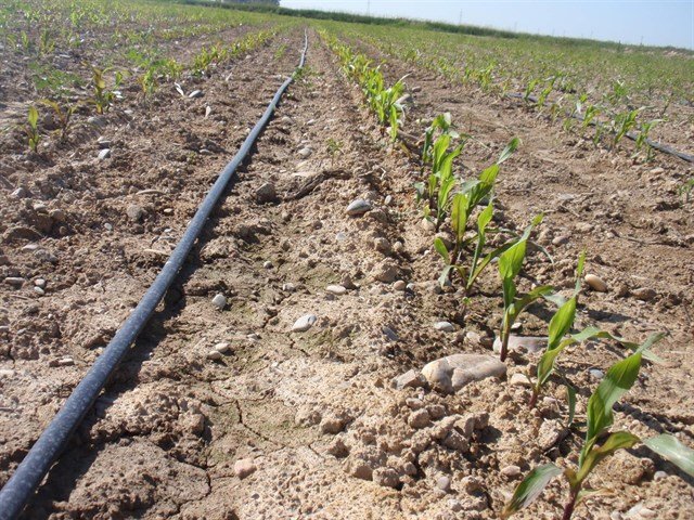 Acuerdo entre la Agencia Andaluza de la Energía y Feragua para impulsar la energía limpia en el regadío andaluz