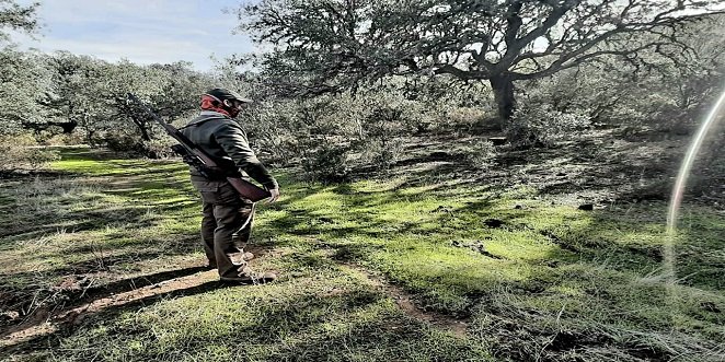 El próximo domingo comienza la temporada de caza