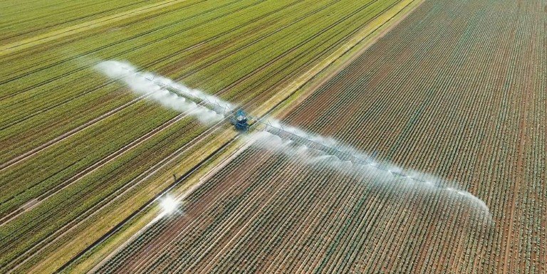 La Consejería de Agricultura inicia el pago de 845,8 millones de euros de anticipo de la PAC