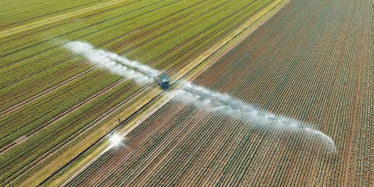La Consejería de Agricultura inicia el pago de 845,8 millones de euros de anticipo de la PAC