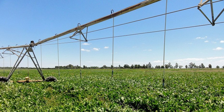 Aprobado el real decreto-ley de medidas urgentes en materia agraria en respuesta a la sequía