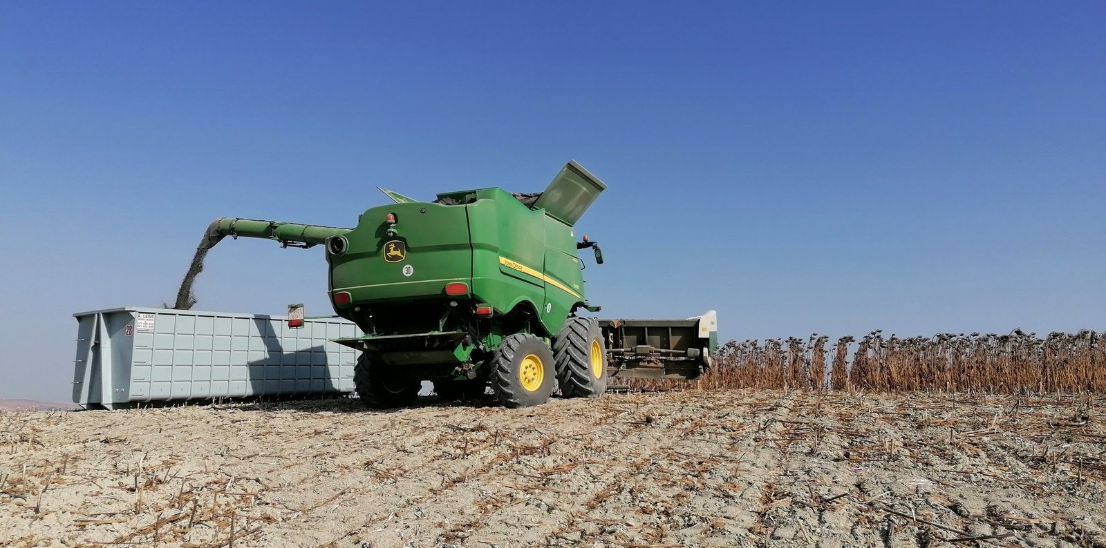 Finaliza la campaña del girasol en la provincia de Córdoba con un aumento de superficie del 4,42%