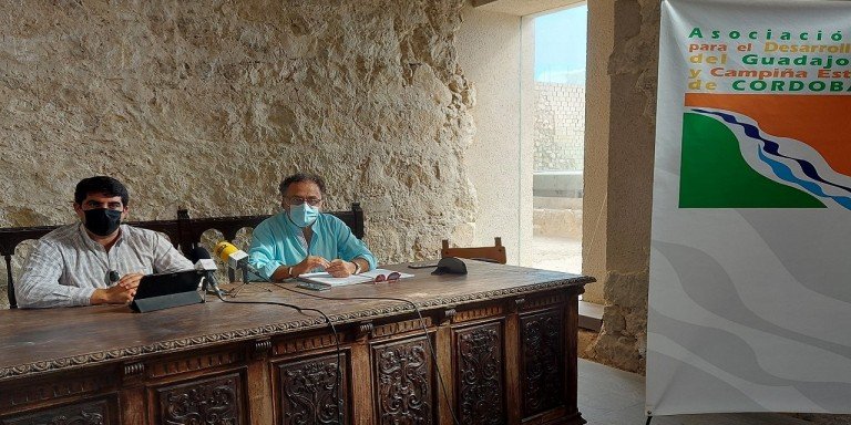 El Europe Direct de Adegua organiza un acto para celebrar el traslado de su sede al Castillo de la Almedina