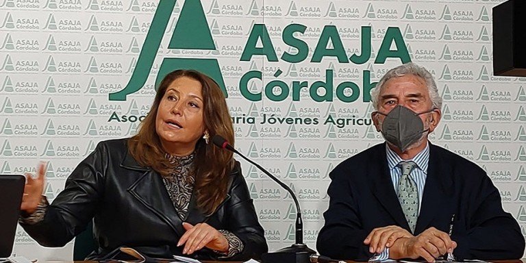 La Junta solicitará al Ministerio de Agricultura mecanismos urgentes para mitigar los costes de producción del campo