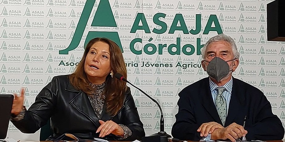 La Junta solicitará al Ministerio de Agricultura mecanismos urgentes para mitigar los costes de producción del campo