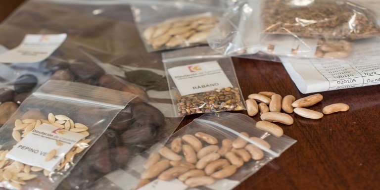 El Ayuntamiento de Baena recibe de Diputación lotes de semillas para huertos urbanos con fines educativos y sociales