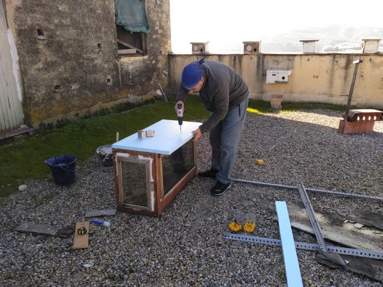 Groden-Ecologistas en Acción ya tiene todo preparado para la reproducción del cernícalo primilla en Baena