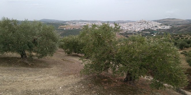 La revisión de la PAC exime de sanciones y controles ambientales a los pequeños agricultores