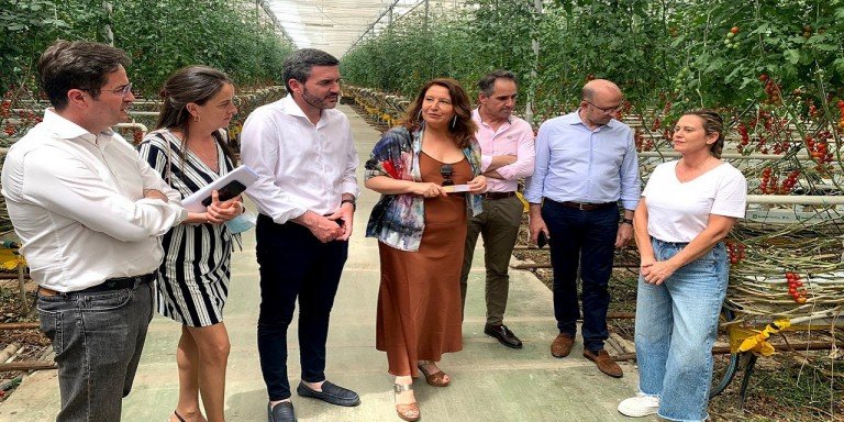 Abierto el plazo para solicitar ayudas dirigidas a disminuir la dependencia energética del regadío