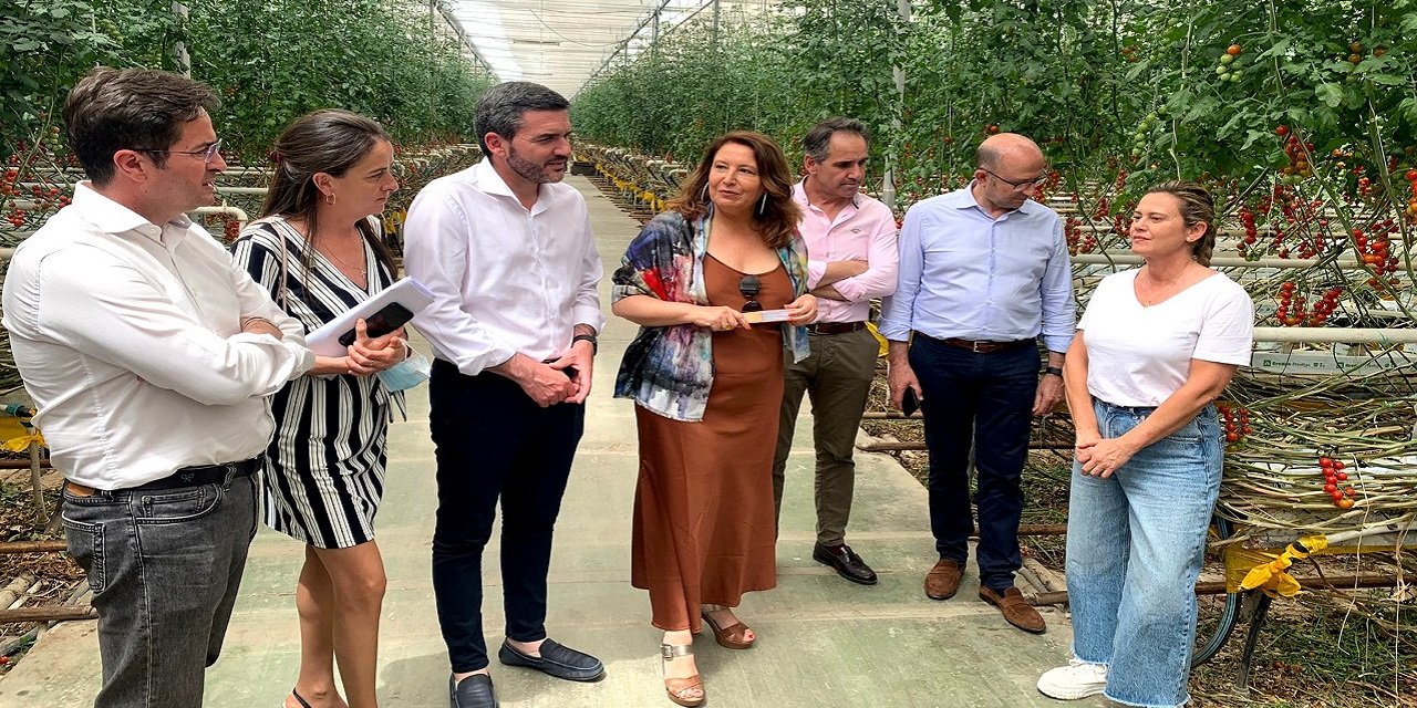 Abierto el plazo para solicitar ayudas dirigidas a disminuir la dependencia energética del regadío