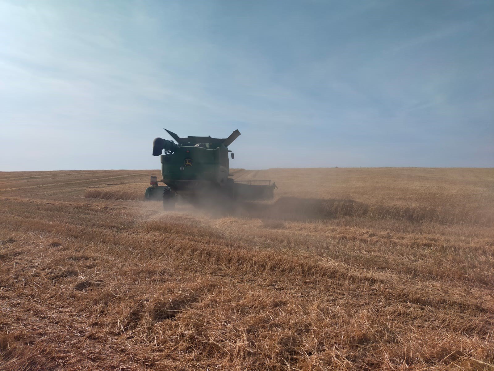 Comienza la recolección de cereales en la provincia de Córdoba con disminución en la producción por la climatología