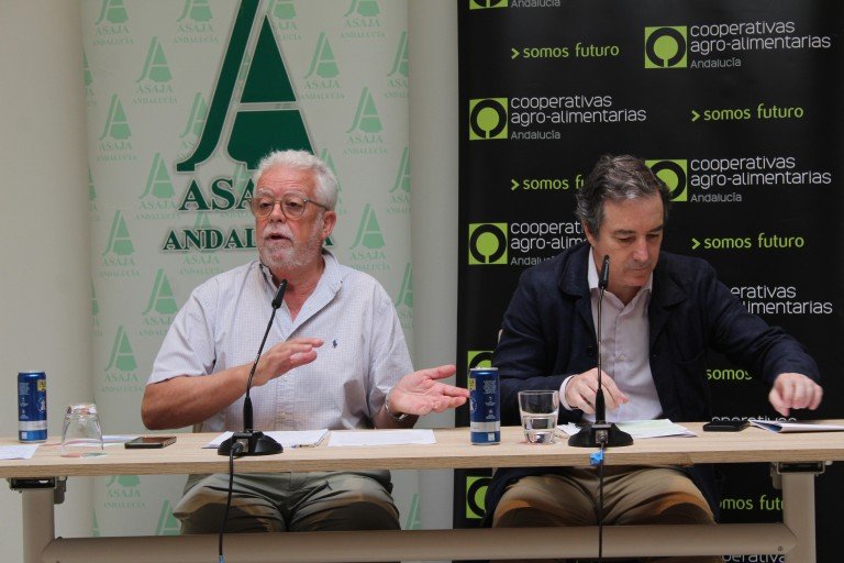 Asaja y Cooperativas Agroalimentarias denuncian “el maltrato a Andalucía en la nueva PAC”