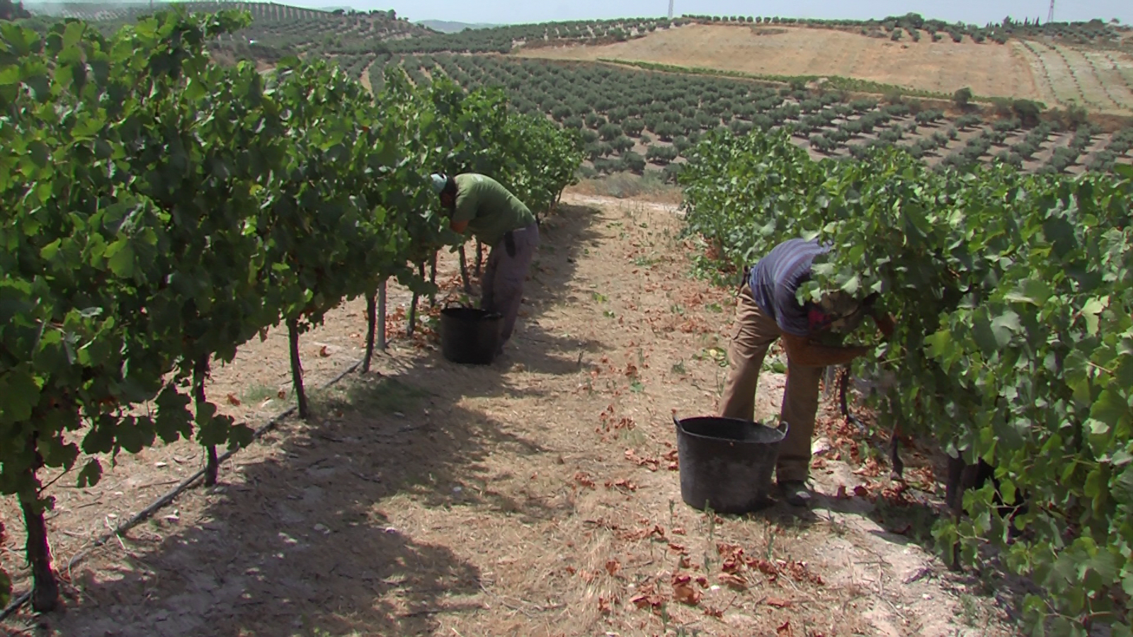 Subida del paro en la provincia de Córdoba con 529 desempleados más en agosto