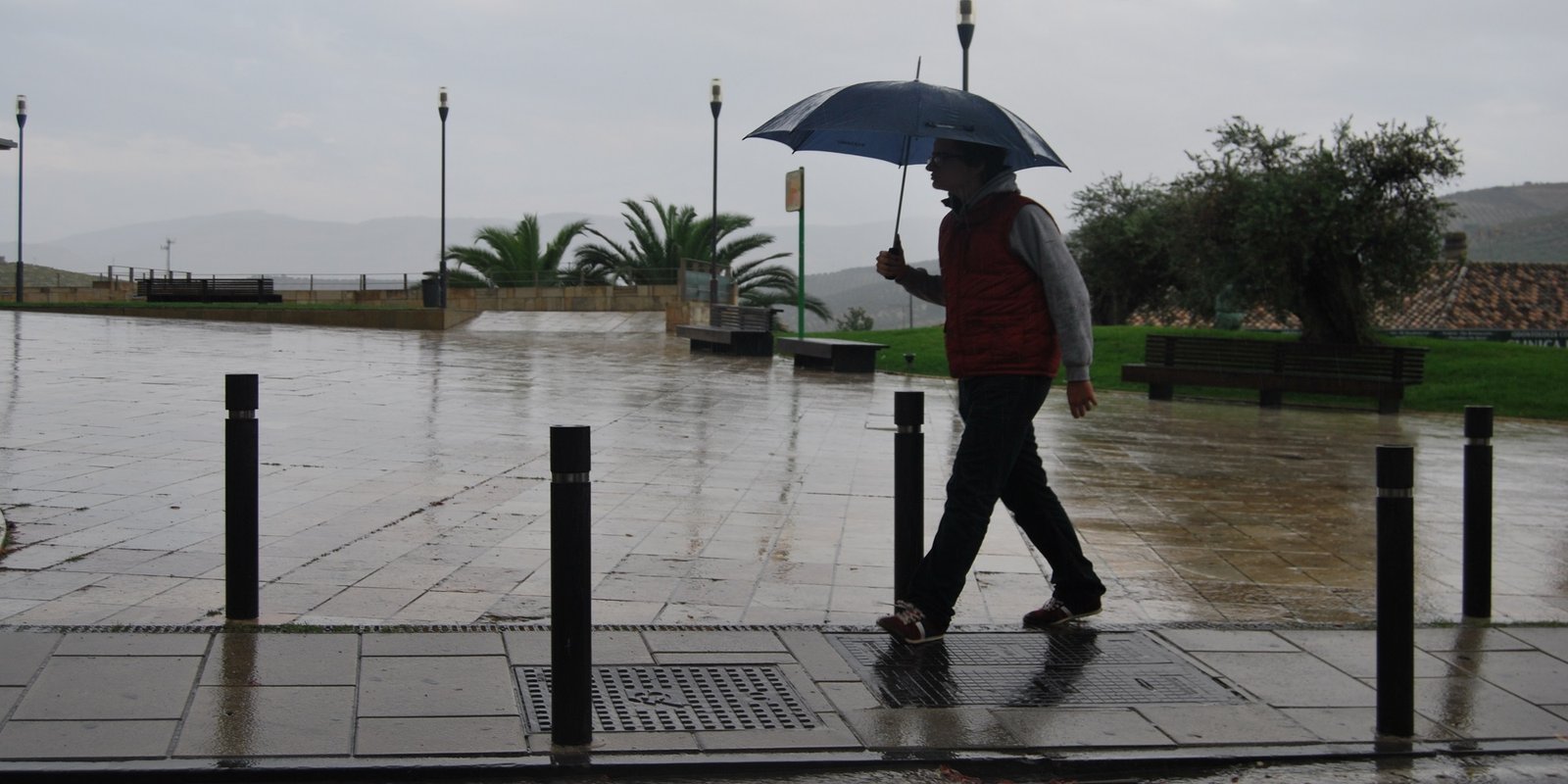 Baena cierra el Año Agrícola 2024/2025 con un “inusual” registro de lluvias de 700 litros