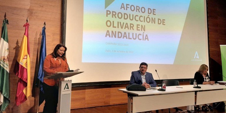 La Junta prevé una campaña marcada por la sequía y con una producción para Córdoba de 158.000 toneladas de aceite de oliva